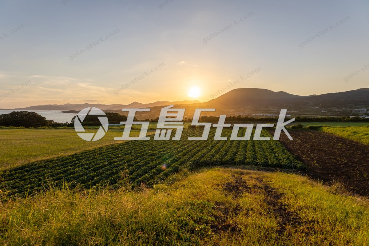 崎山地区の夕日に染まる田園風景と山々