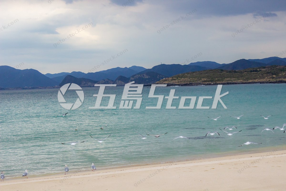 長崎・五島列島 碧い海と白い砂浜、カモメが誘う癒しのビーチ