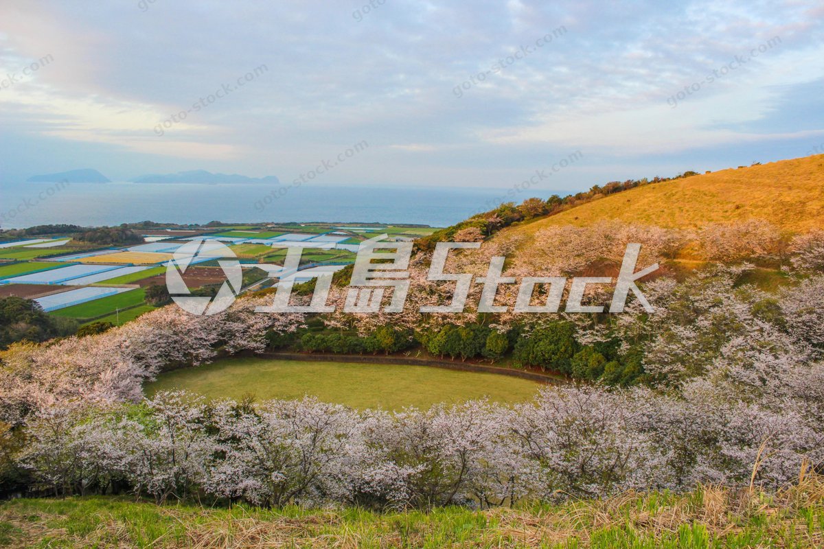 満開の桜に包まれる箕岳園地