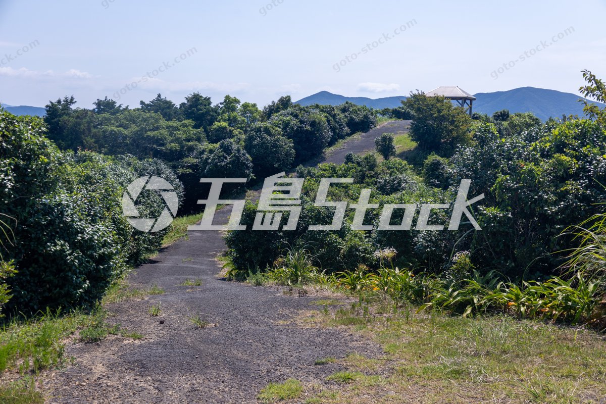 五島列島 初夏の青空と展望台へ続く癒しの緑道