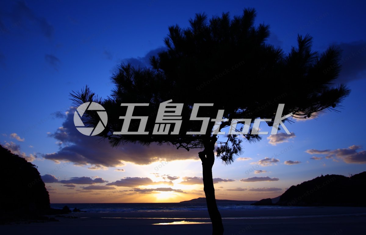 長崎五島列島、夕焼けに染まるビーチと松の木の神秘的なシルエット
