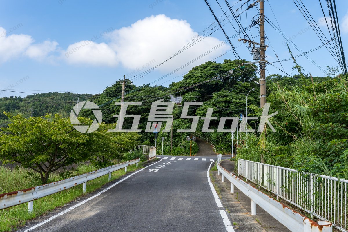 緑に囲まれた奥浦地区の生活道路