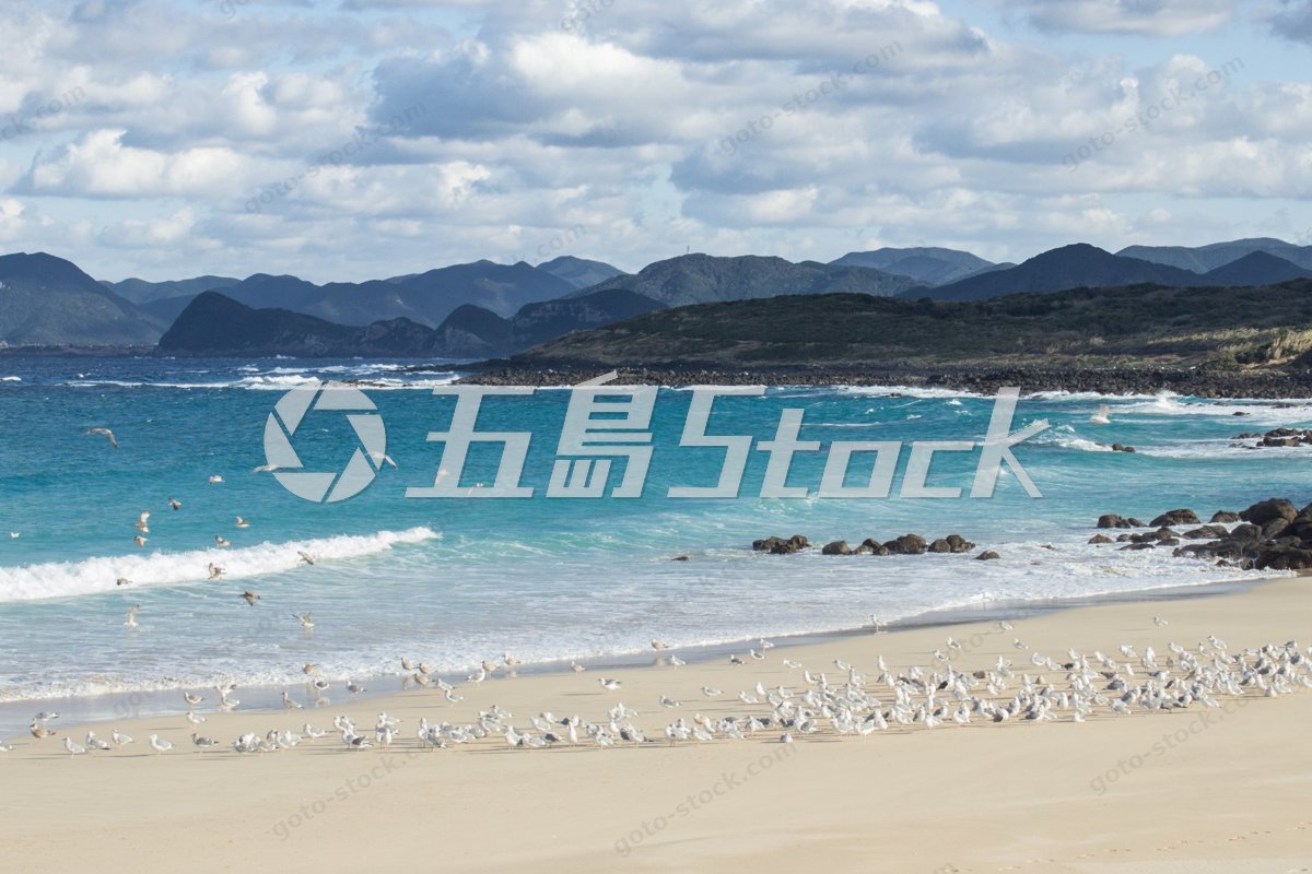五島列島・絶景の海岸線：カモメ舞う青い海と白い砂浜