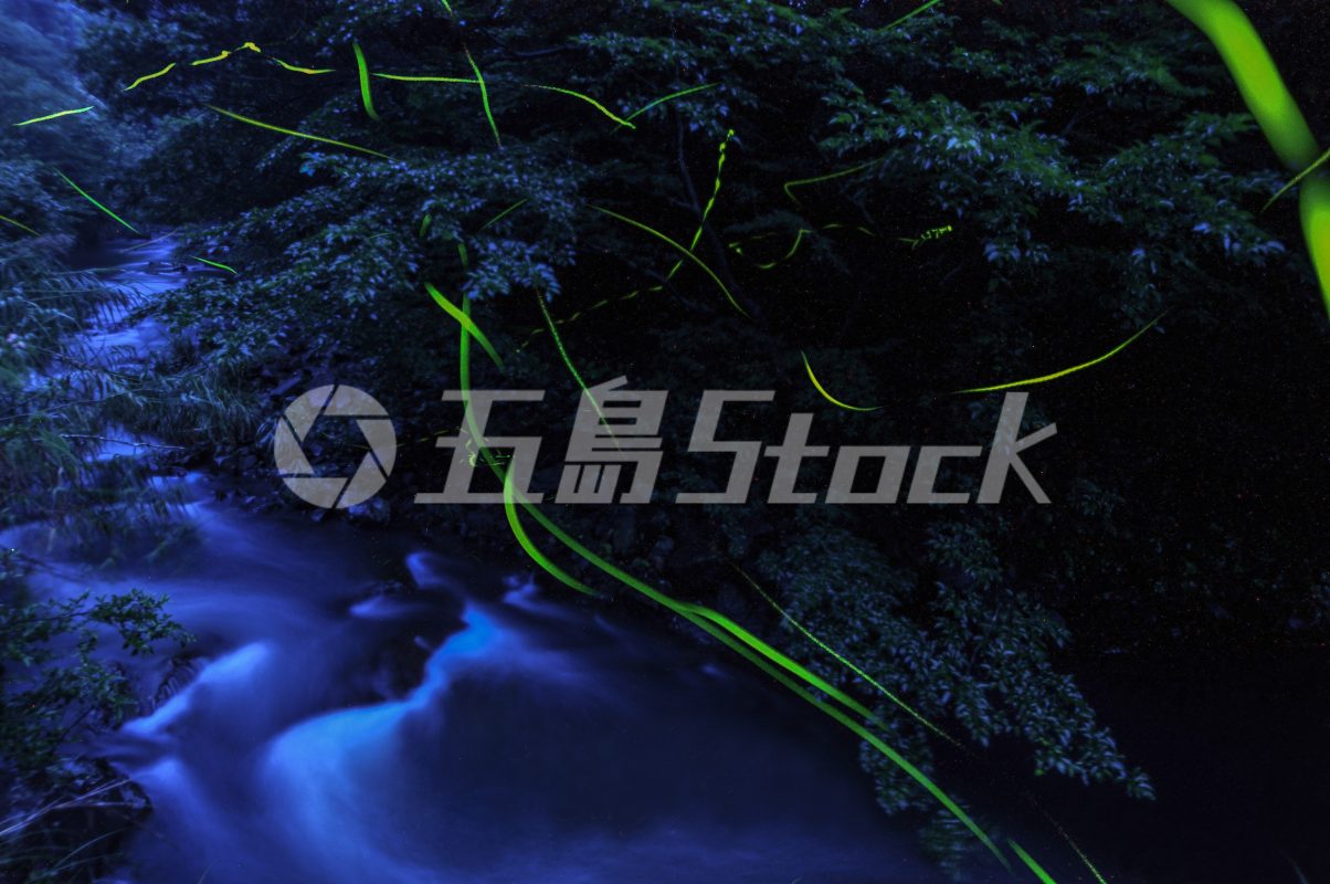 五島Stock