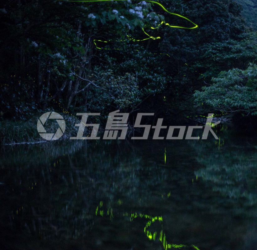 五島Stock