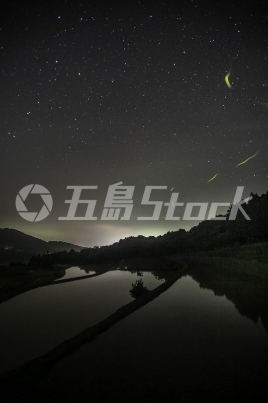 五島Stock
