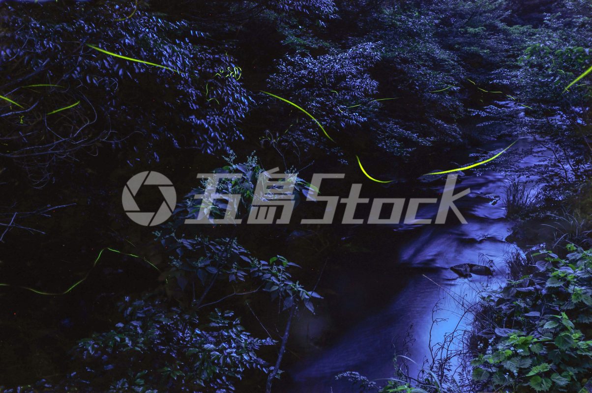 五島Stock