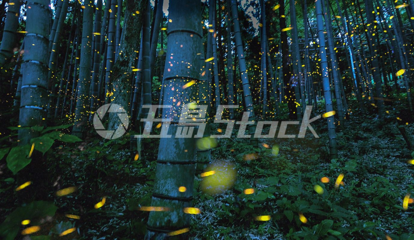 五島Stock