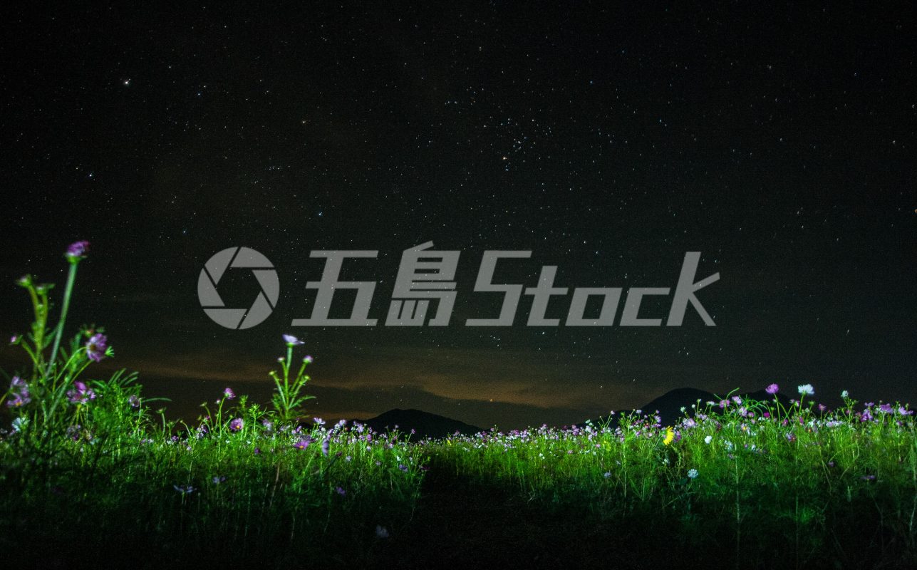 五島Stock