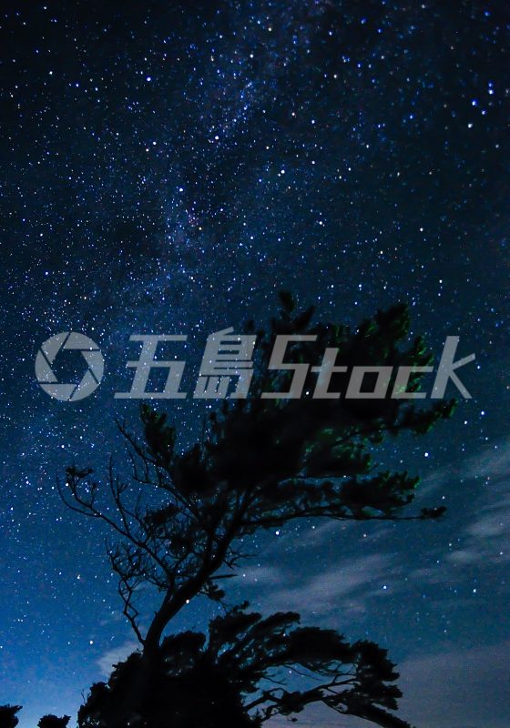 五島Stock