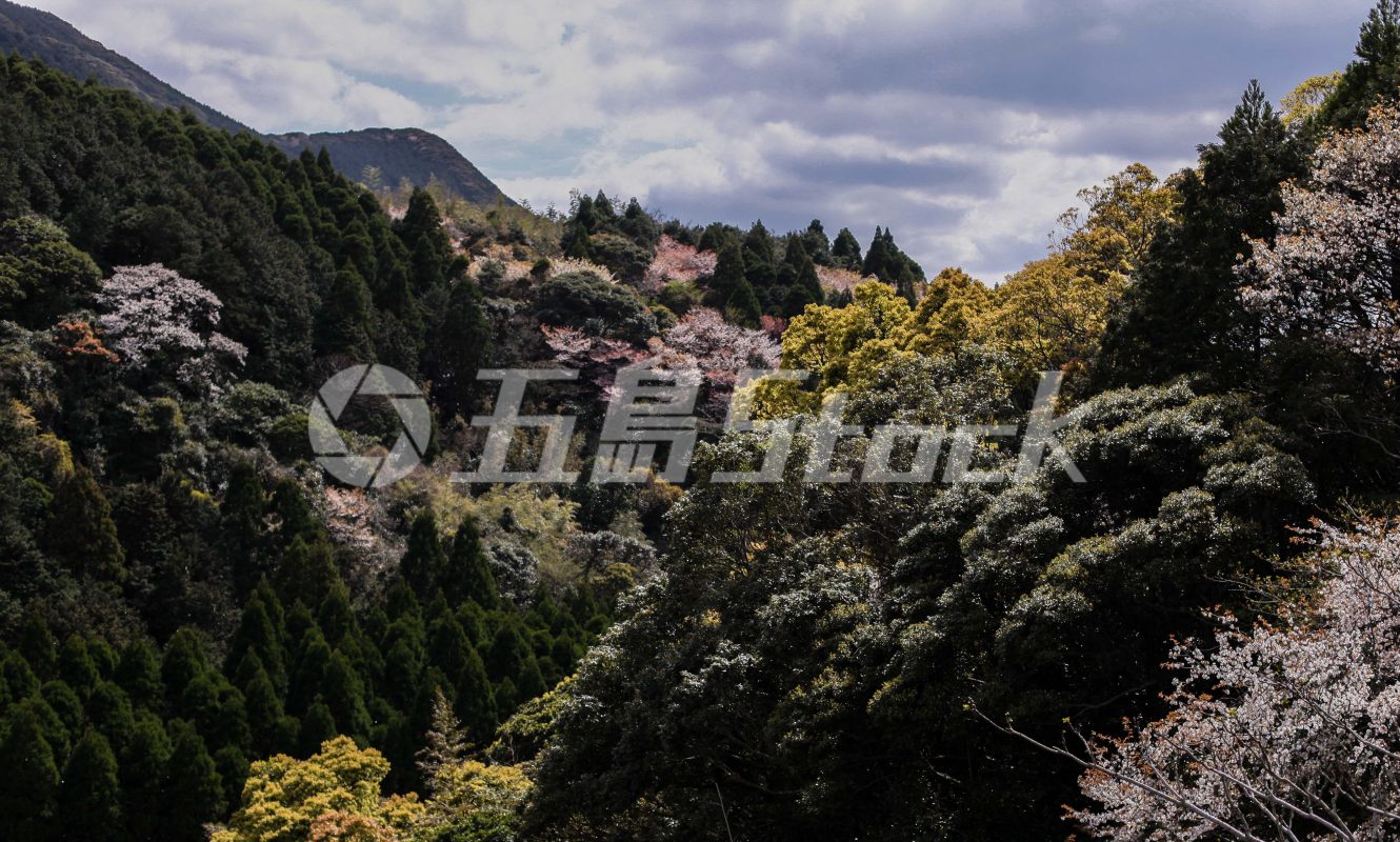 五島Stock