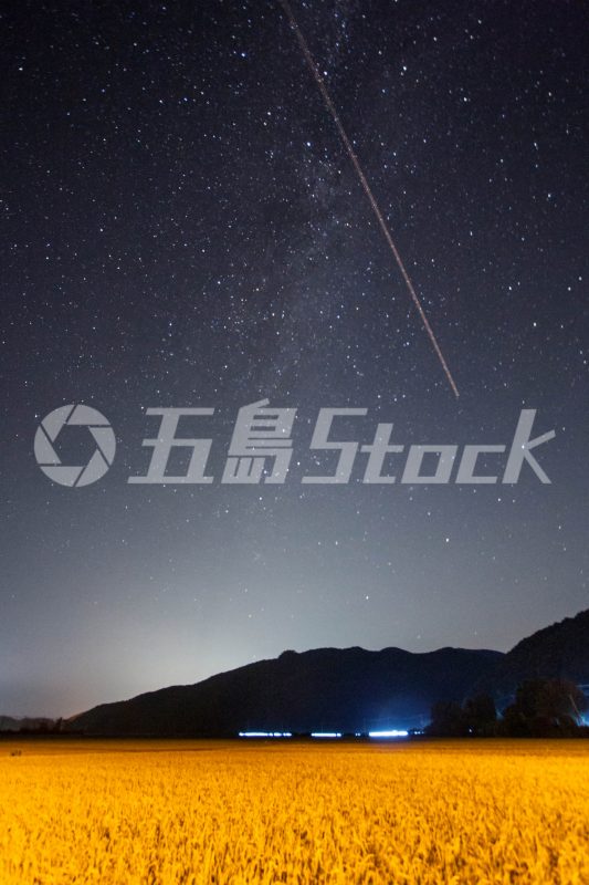 五島Stock