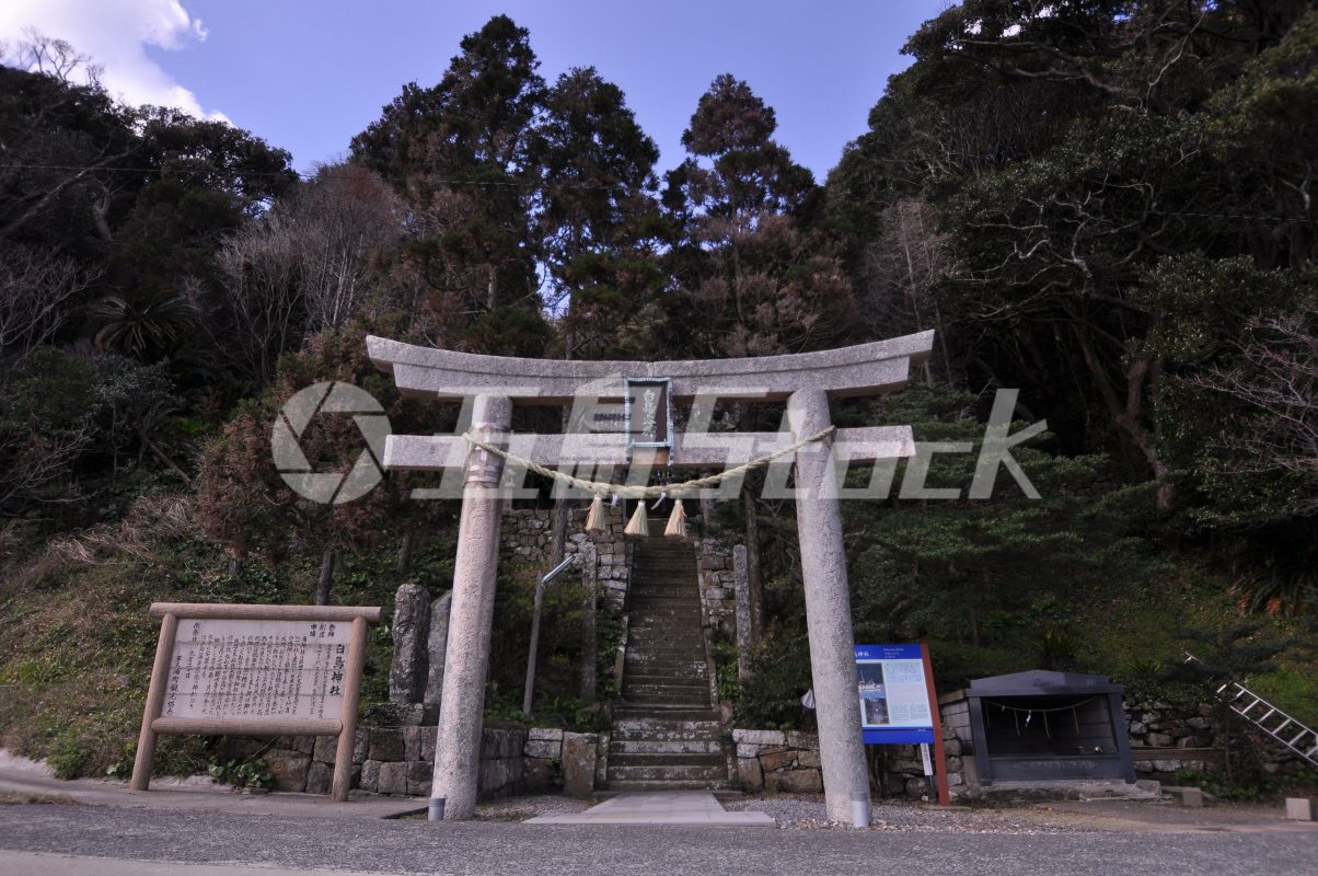 五島Stock