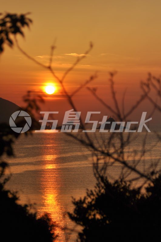 五島Stock