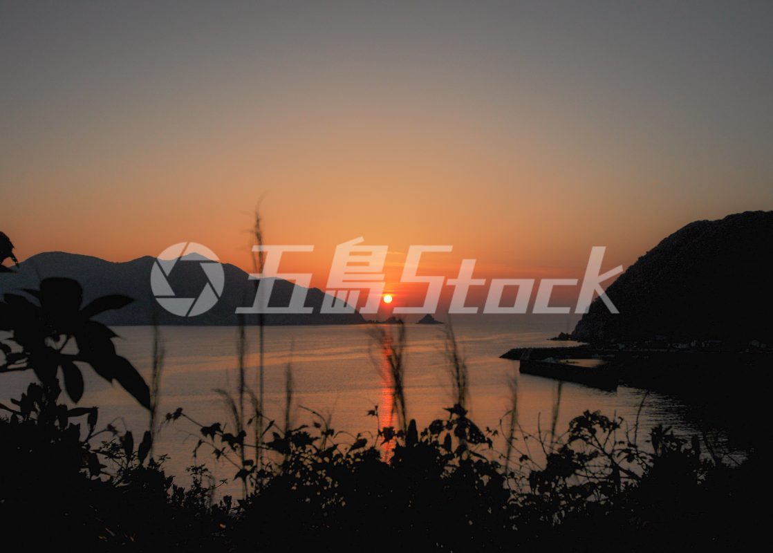 五島Stock