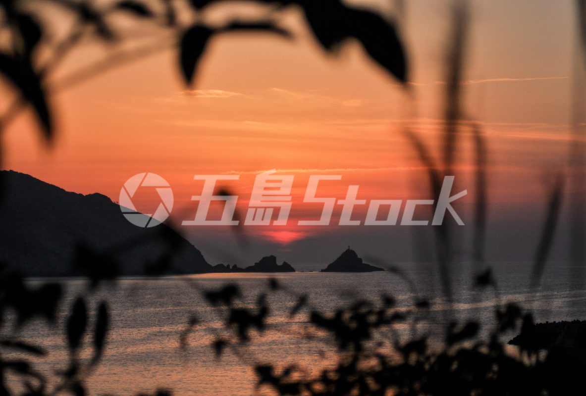 五島Stock