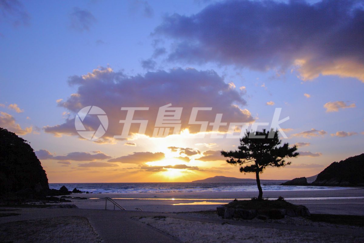 五島Stock