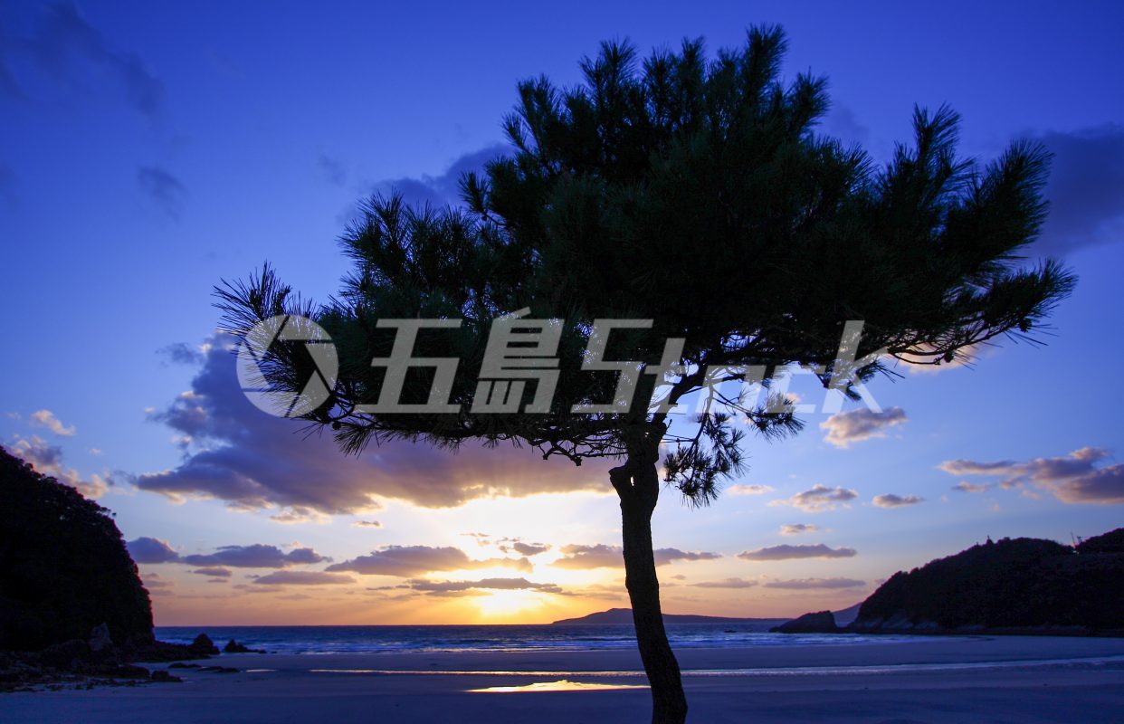五島Stock