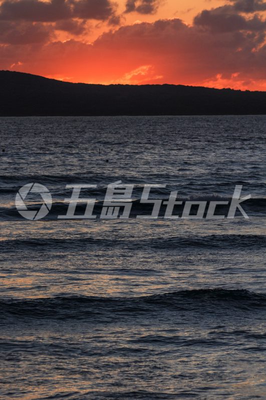 五島Stock