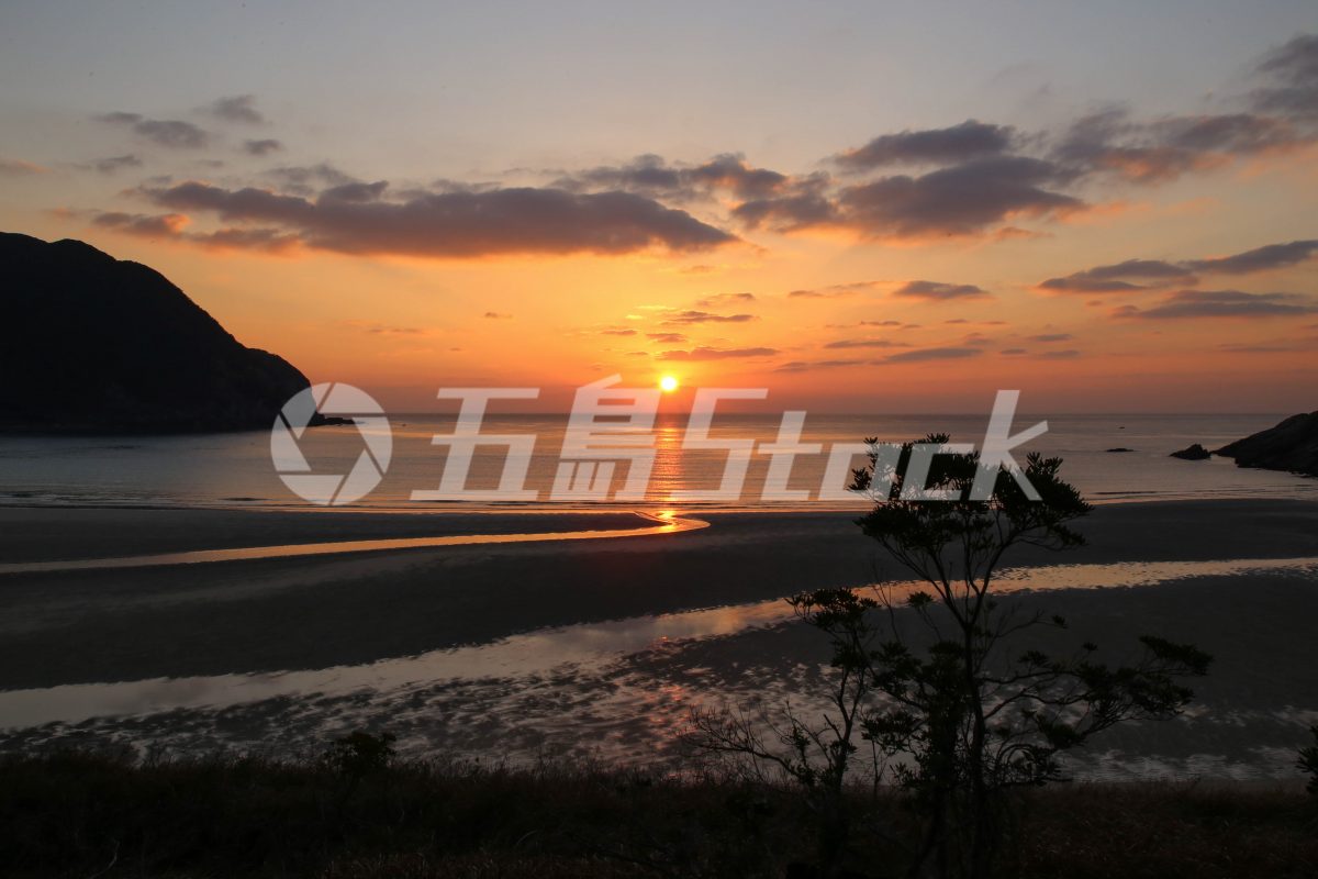 五島Stock