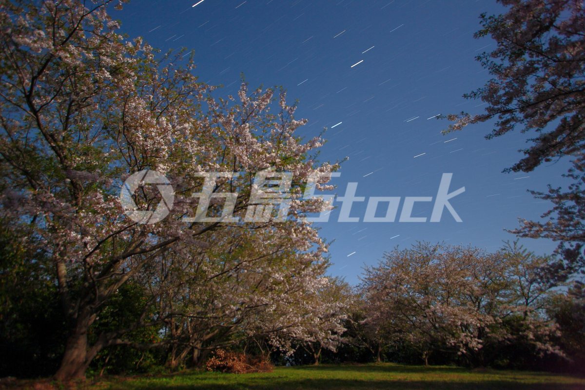 五島Stock