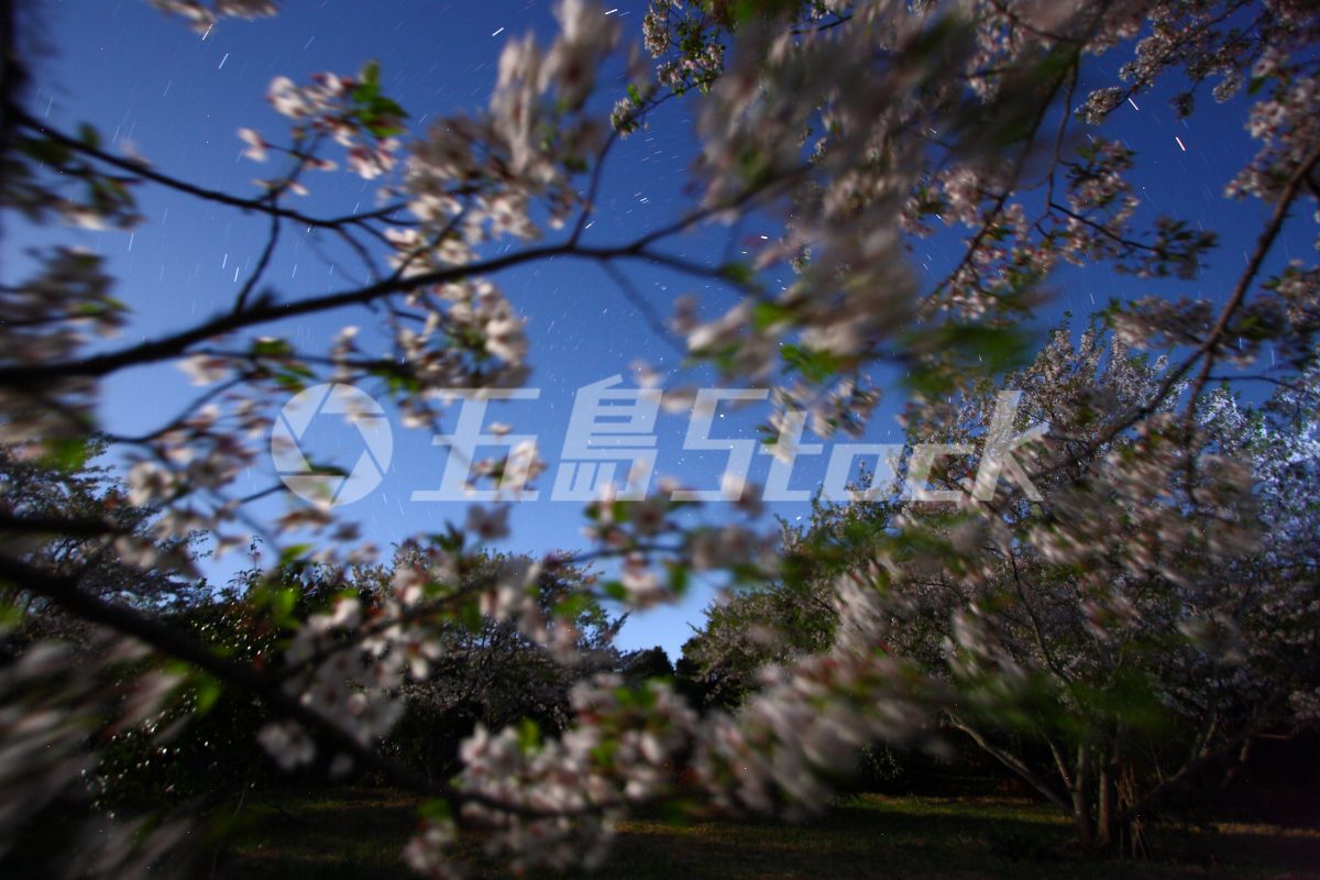 五島Stock