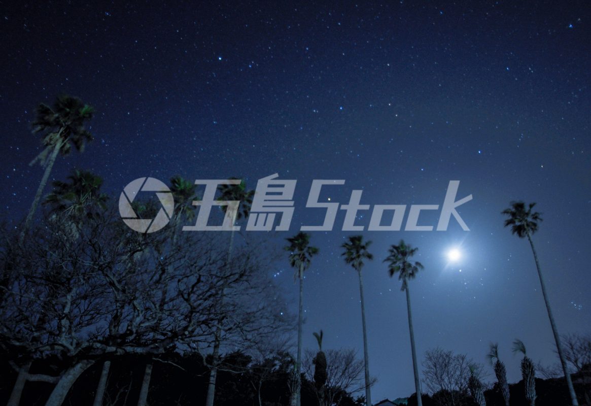 五島Stock