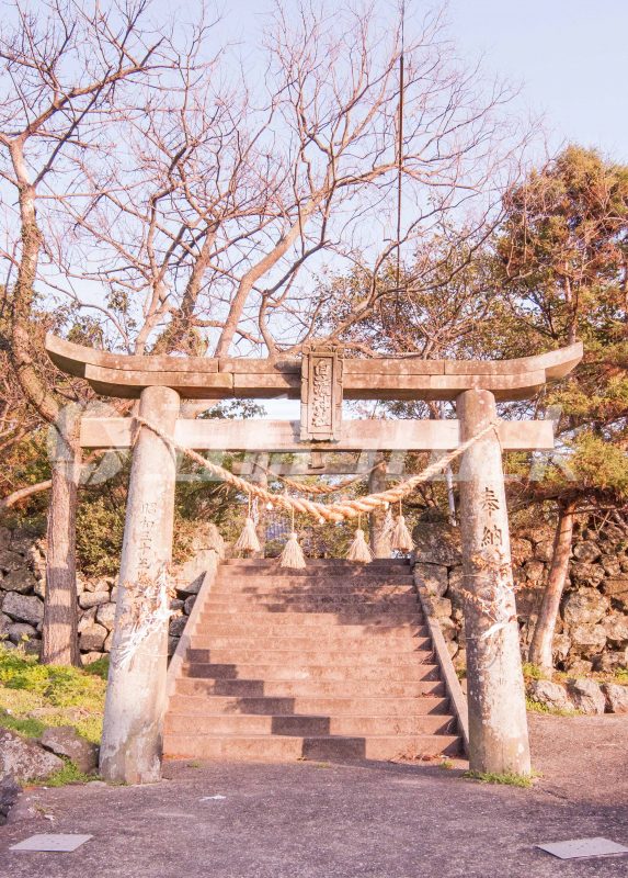五島Stock