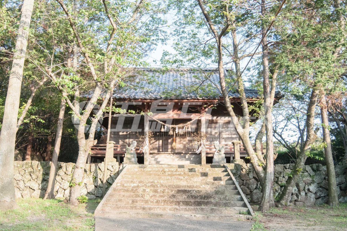 五島Stock