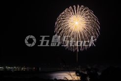 25121900239.jpg