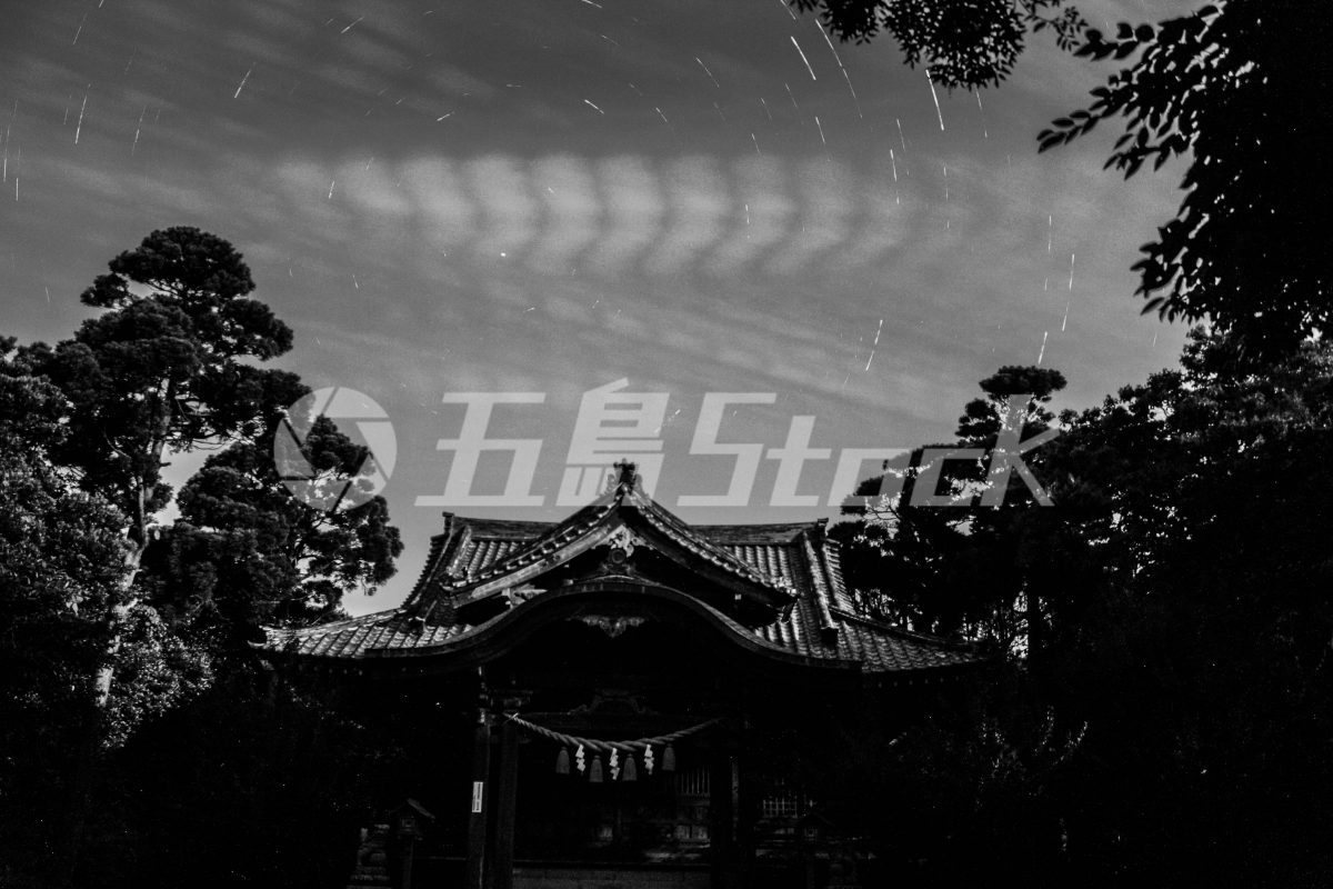 五島Stock