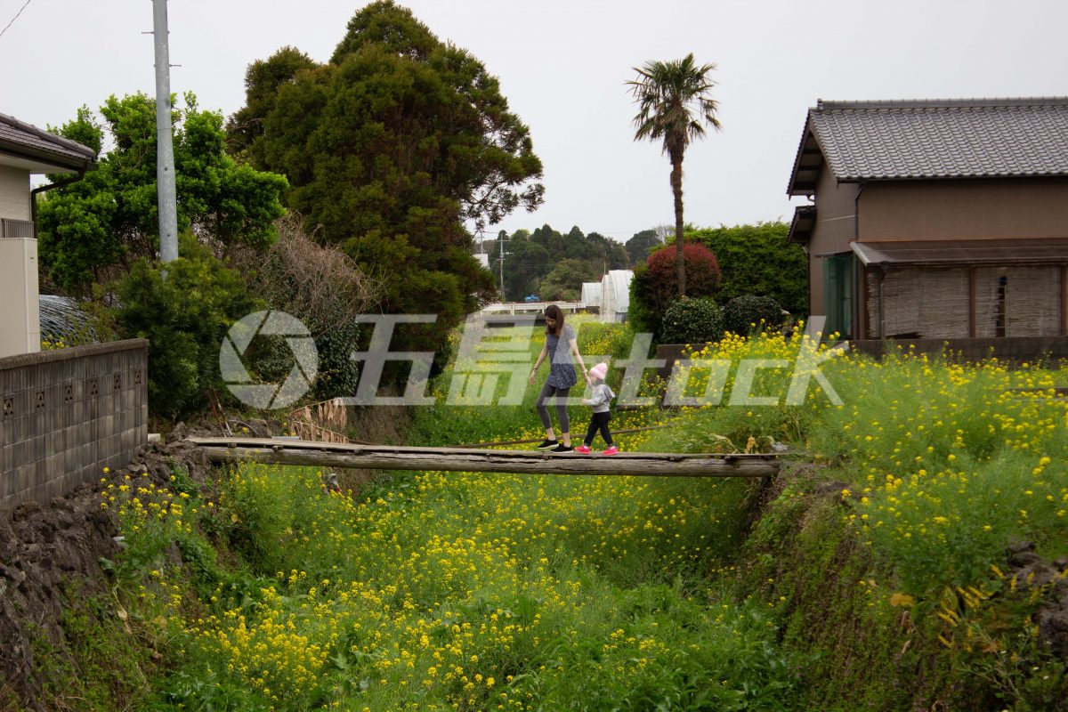 五島Stock