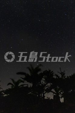 25121900414.jpg