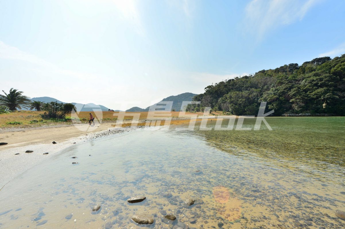 五島Stock