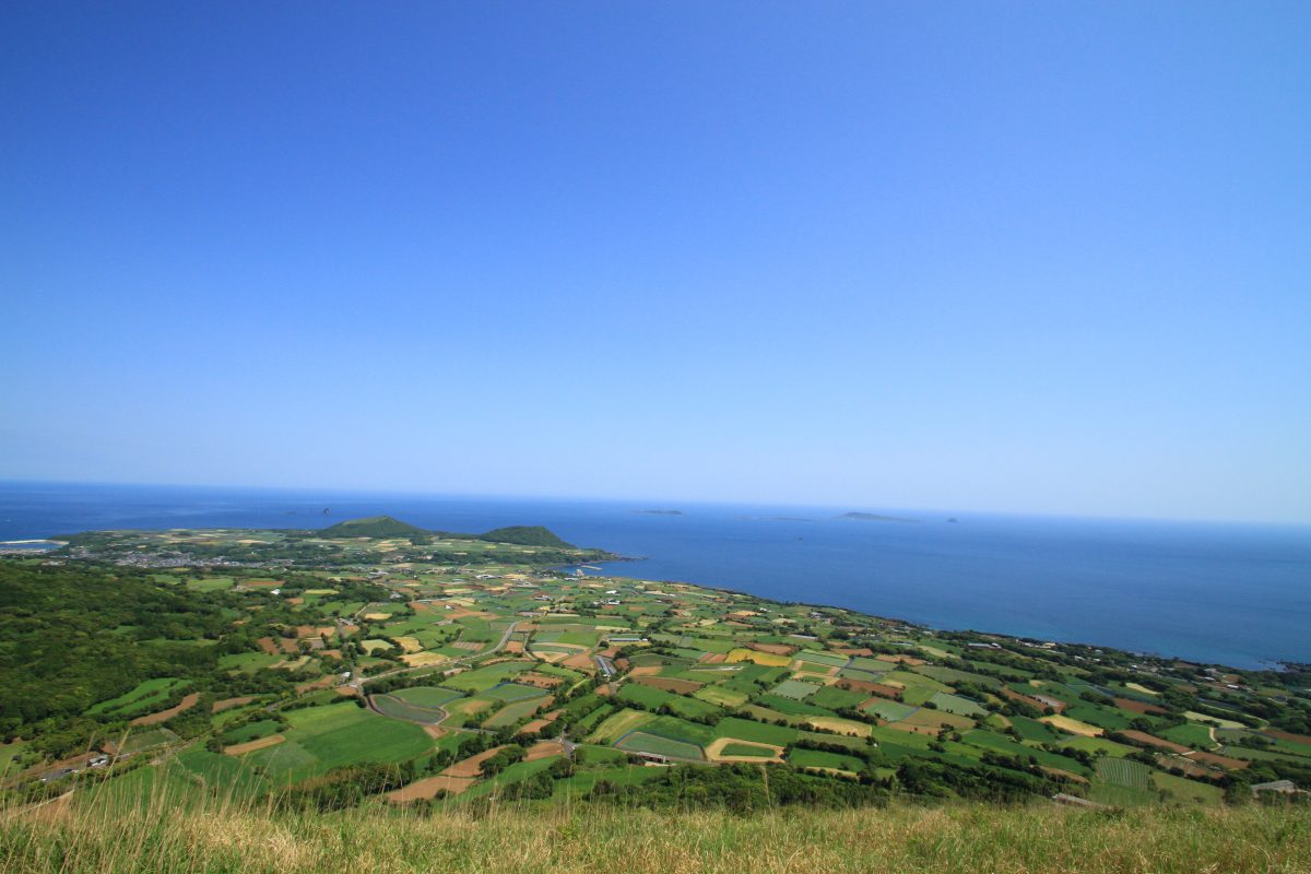 五島Stock