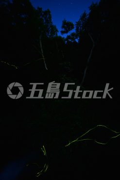 a00005.jpg