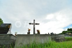a00109.jpg