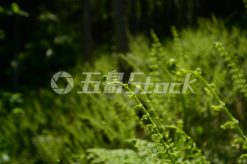 a00117.jpg