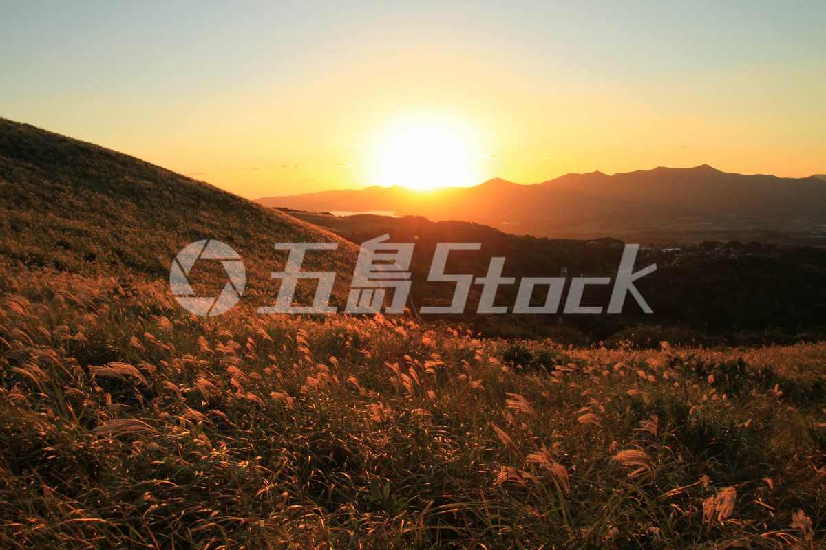 五島Stock
