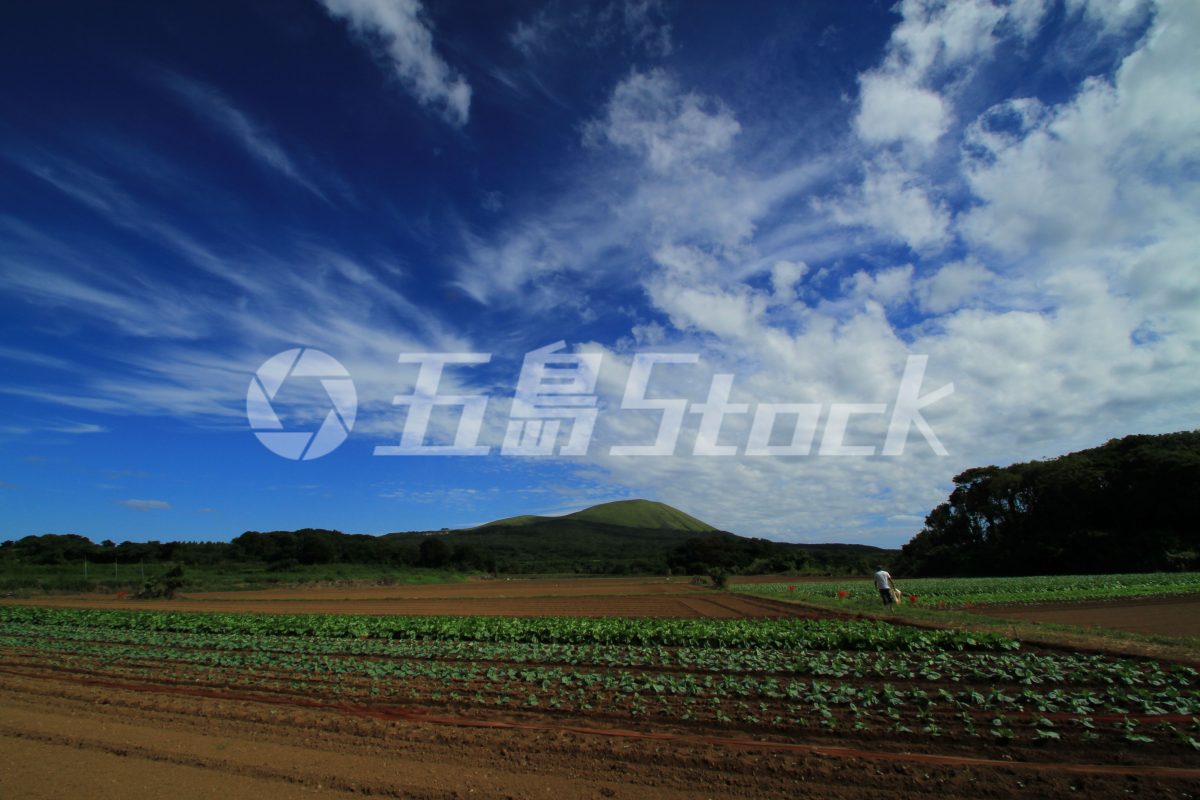 五島Stock