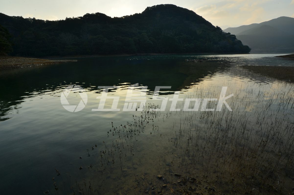 五島Stock