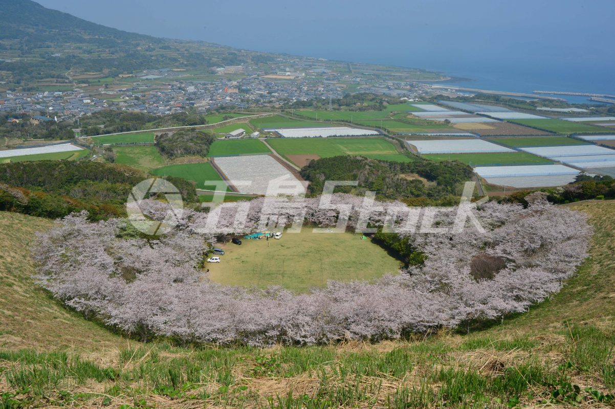 五島Stock