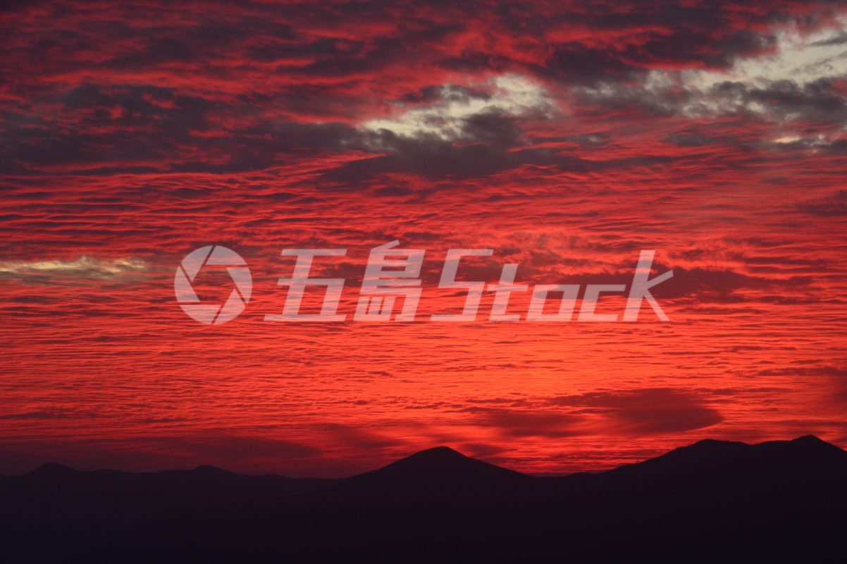 五島Stock