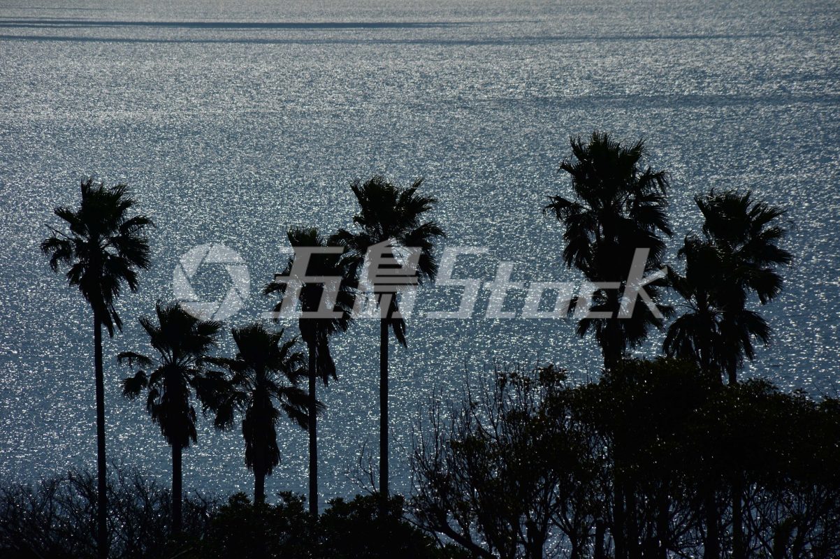 五島Stock