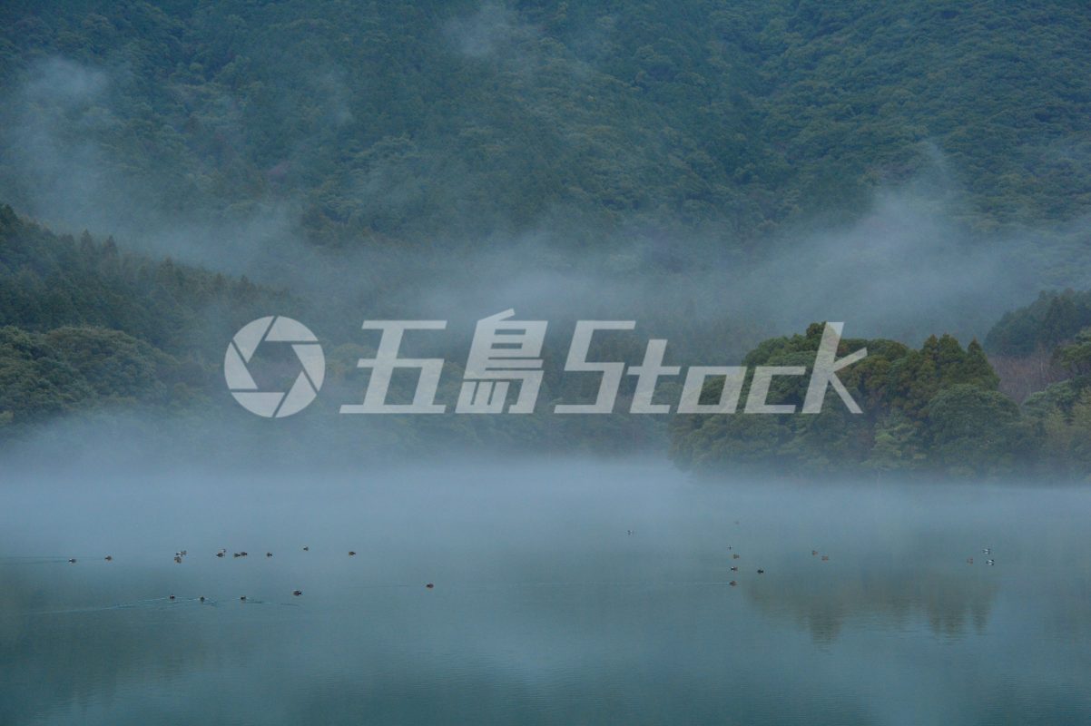 五島Stock