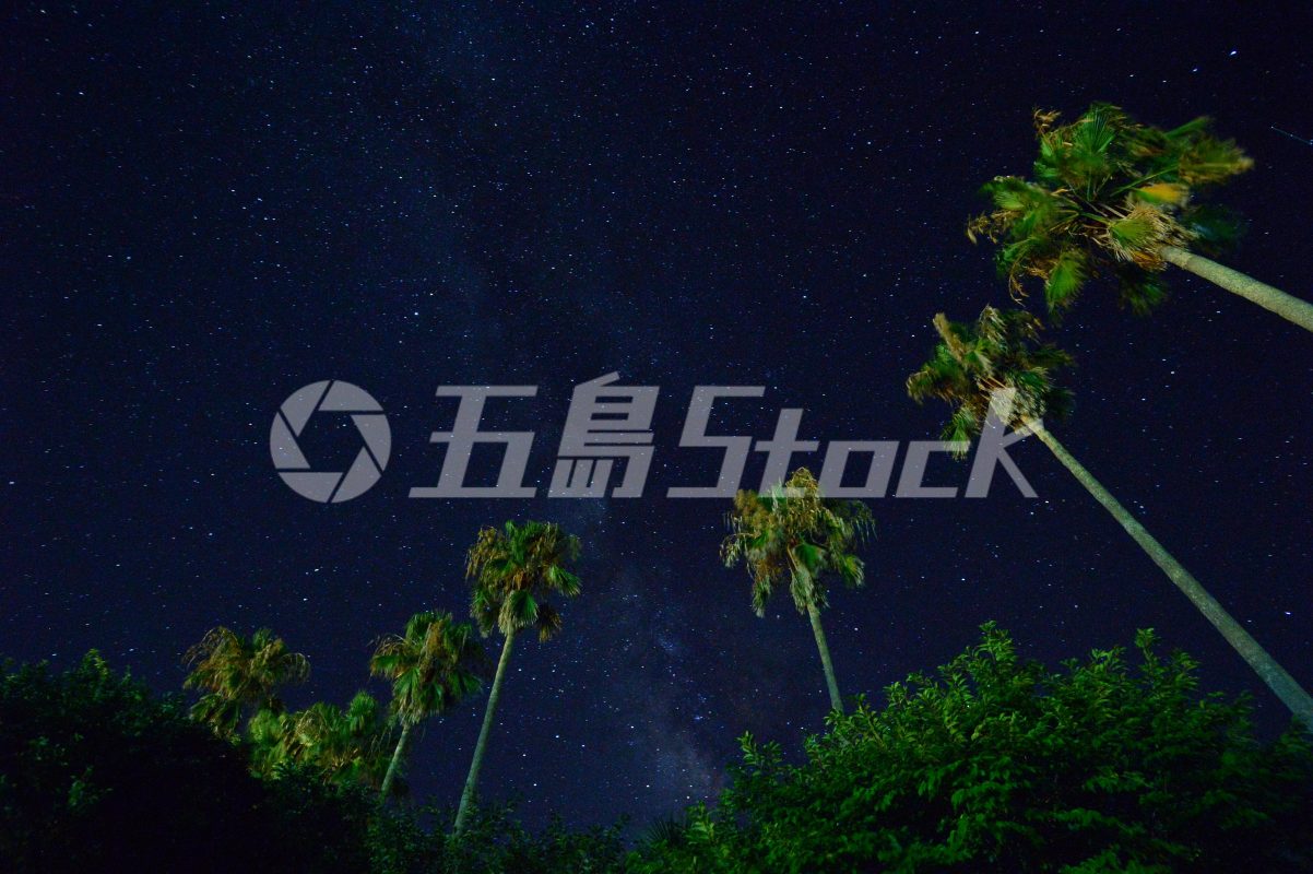 五島Stock