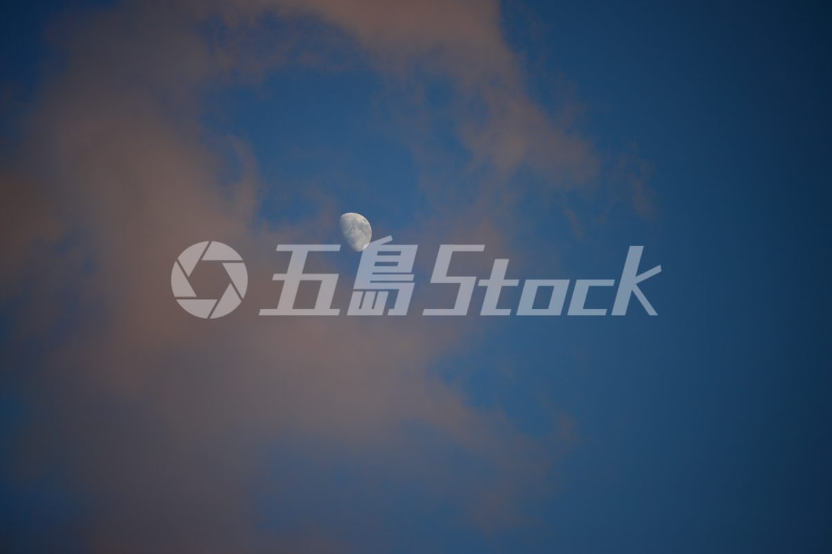 五島Stock