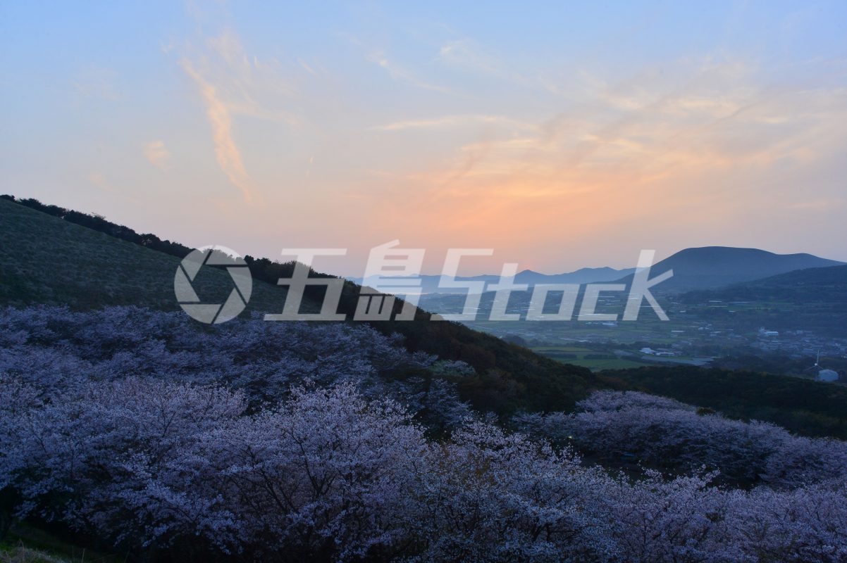 五島Stock