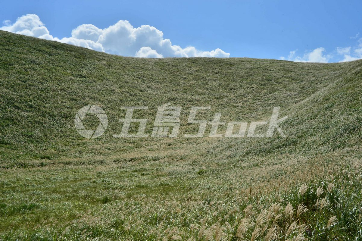五島Stock