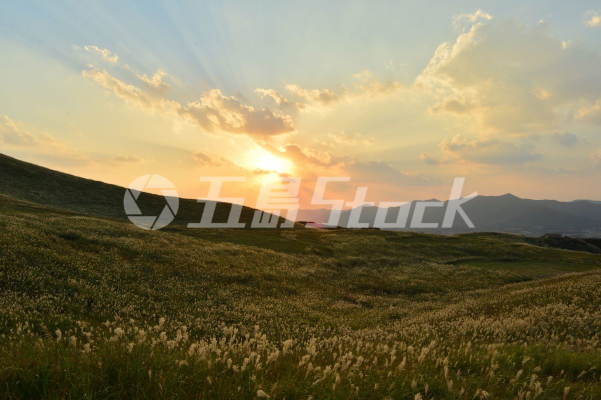 五島Stock